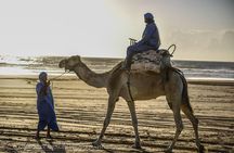 Day Camel Ride with Picnic on Essaouira's beach
