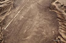 Paracas Shore Excursion: Nazca Lines Tour