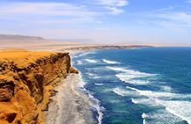 Paracas National Reserve Private Tour from Paracas or Pisco