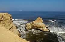Paracas Reserve from PISCO CRUISE SHIP TERMINAL
