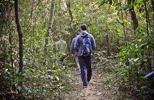 Private 4-hour Ecotour to Cantareira or Jaraguá Forest Reserve