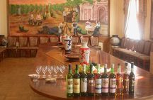 Wine Tasting Tour in Samarkand