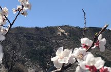 Magnificent Private Full Day Tour to Mutianyu Great Wall