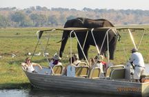 Chobe Day Trip From Victoria Falls Zimbabwe
