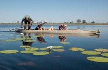 8-Day Victoria Falls To Okavango delta safari Tour