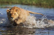 8-Day Victoria Falls To Okavango delta safari Tour