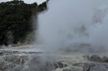 2-Day Hobbiton, Rotorua, Waitomo Caves Tour from Auckland with Accommodation