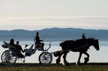 Grand Horse-Drawn Carriage Tour of Victoria