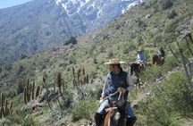 Horse Riding Tour in the Andes Santiago Chile