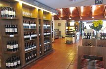 Private Andes Day Trip Maipo Valley with Concha Y Toro Wine Tour