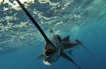 Four-Hour Fishing Tour in Dominica