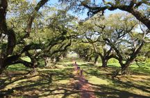 Oak Alley Plantation and New Orleans City Tour