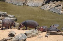 12 Days Kenya and Tanzania Budget Private Safari from Nairobi