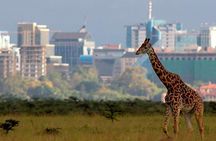 Early Morning Half Day Mini Safari To Nairobi National Park