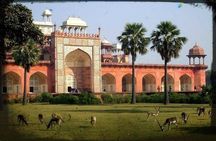 Agra Short Tour of Akbar Tomb, Gurudwara Guru Ka Tal and Dayalbagh