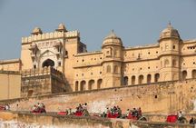 Customize Your Pink City Tour Your Own Way