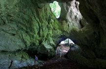 From Bled: Discovery Trail
