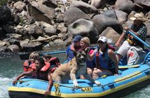 Durango Family-Friendly 2-Hour Rafting Trip