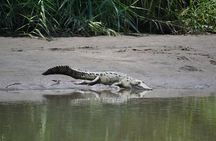 Palo Verde National Park Boat Tour