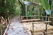 Carara National Park 
