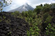 Arenal Volcano Guided Hike, Hot Springs Optional