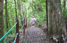 Combination Hanging Bridges, Waterfall, Volcano Hike & Hot Spring