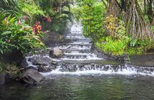 Combination Hanging Bridges, Waterfall, Volcano Hike & Hot Spring