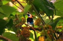 Flora & Fauna Garden at Danaus EcoCenter 