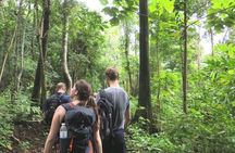 3-Day Chiang Dao Mountain Trek