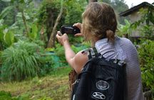Full-Day Hike and Bike Tour from Chiang Mai