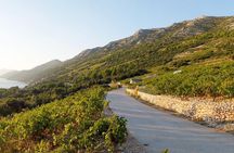 Wine Lover's Tour of Peljesac Peninsula