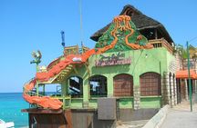 [PRIVATE] Montego Bay Highlights Tour