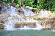 [PRIVATE] Dunn's River Falls with Entrance Fees