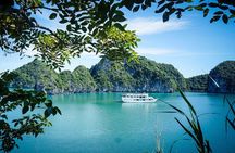 Standard Halong 2 days 1 night - overnight on cruise - Bai Tu Long routine