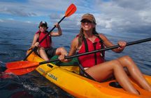 South Maui Kayak and Snorkel Tour