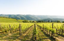 Tour and Tasting at an Organic Winery in the Heart of Chianti Classico Area