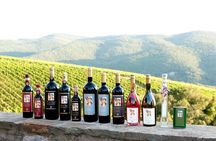 Tour and Tasting at an Organic Winery in the Heart of Chianti Classico Area