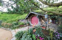Hobbiton Movie Set Tour from Tauranga 5.5 to 6 hours CTT-17 - TRG-17