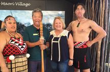 Rotorua Geothermal Living Maori Village Tour Whakarewarewa 6.5hours Tour