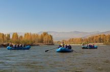 Grand Teton Views 14-Mile Snake River Scenic Float
