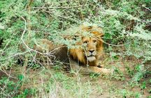 3 Days Trip To Murchison Falls