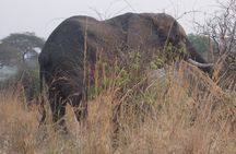 4-Day Kidepo Wild Life Safari