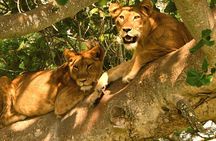 3-Day Queen Elizabeth safari