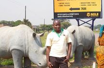 1 Day ziwa Rhino tracking trip