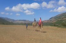 Private Day Trip from Marrakech: Camel Ride and Hike in the High Atlas Mountains