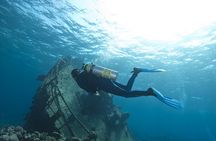 Aruba 2-Tank Dive Excursion for Certified Divers