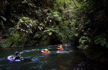 White-Water Sledging Adventure