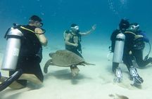 Open Water Scuba Certification