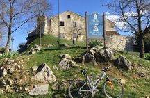Guided Truffle Hunt Istria