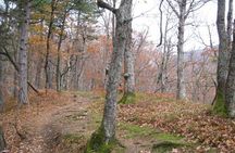 Medvedgrad Fortress: Half Day Guided Walking Tour from Zagreb